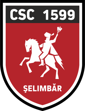 CSC 1599