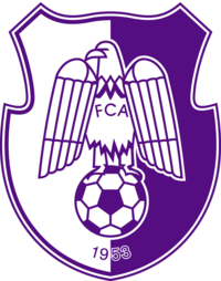 FC ARGES PİTESTİ BADGE